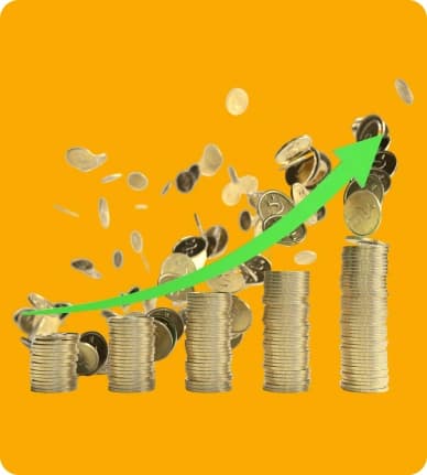 Better Financial Visibility 