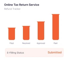 Online Tax Return
