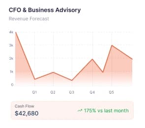 CFO & Business Advisory