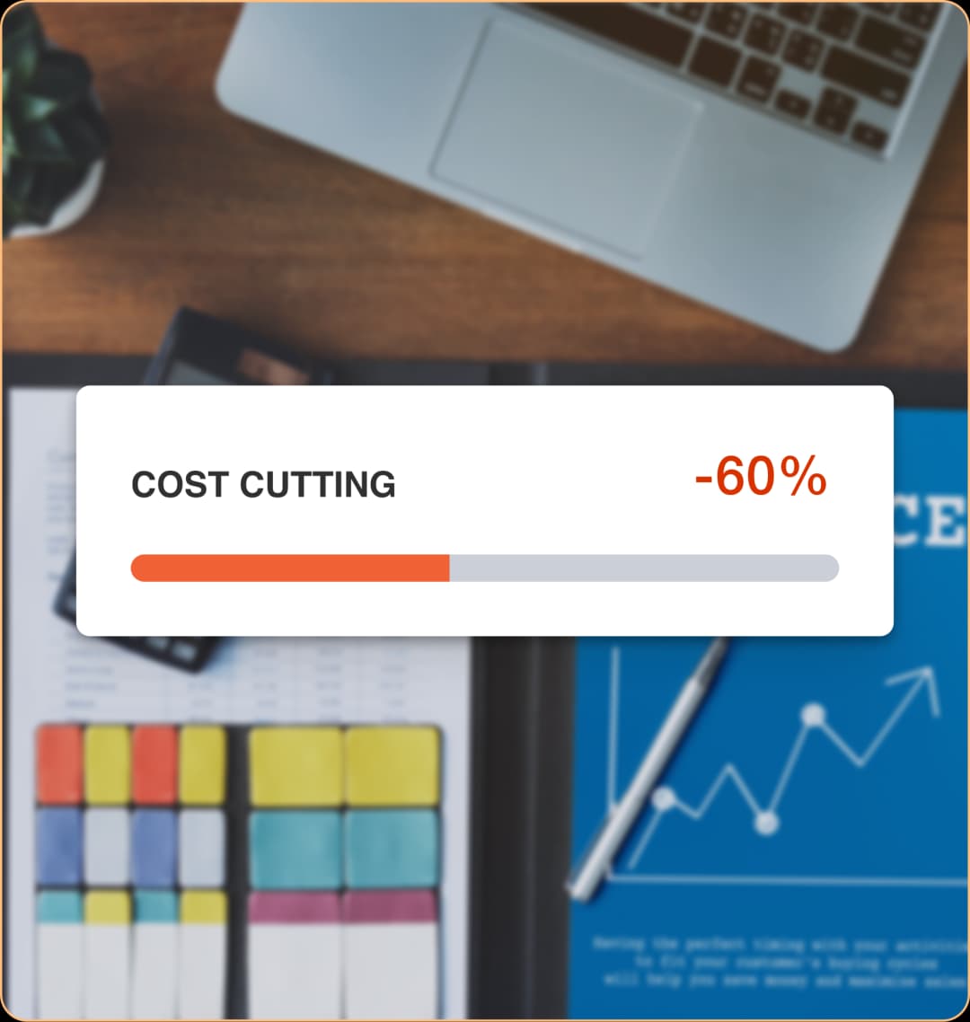 Cut Operational Costs by 60%: An Efficient Accounting Model for a Growing Business